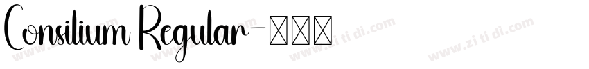 Consilium Regular字体转换